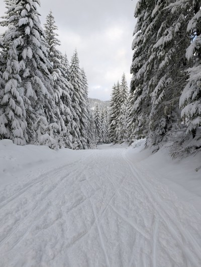 Cabin Creek Sno-Park