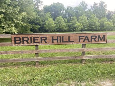 Brier Hill Farm