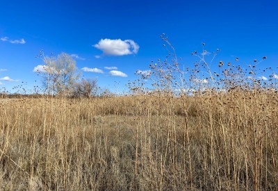 Buenos Aires National Wildlife Refuge