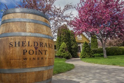 Sheldrake Point Winery