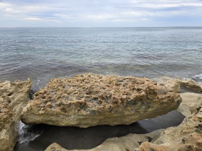 Blowing Rocks Preserve
