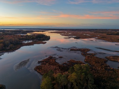 Allens Fresh Natural Area