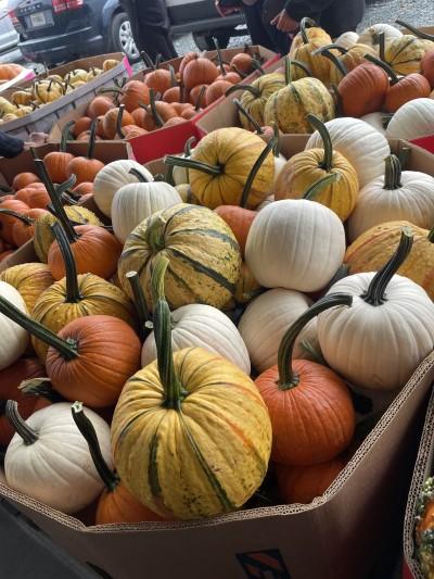 Sunnyburn Produce Auction, Stairville, Pennsylvania
