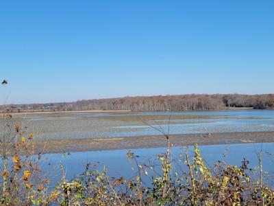 Patuxent River Park - Jug Bay Natural Area, Upper Marlboro, Maryland