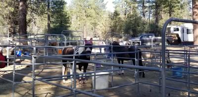 Heart Bar Equestrian Group Campground