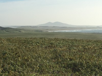 Saint Paul Island