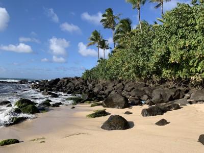 Kawailoa Beach, Haleiwa, Hawaii