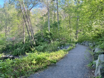 Difficult Run Stream Valley Park