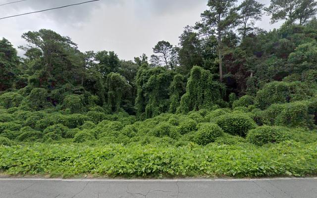 North GA Roadside, LLC