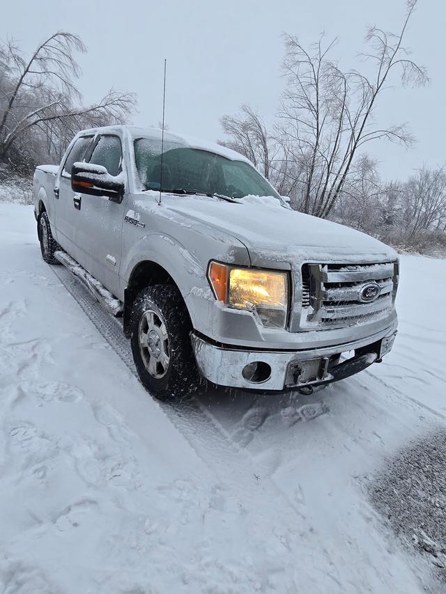 Sesser Auto Body
