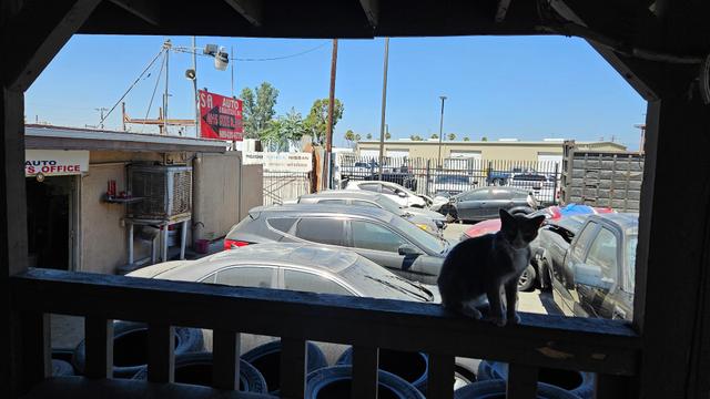 West Coast Auto Wrecking Inc.