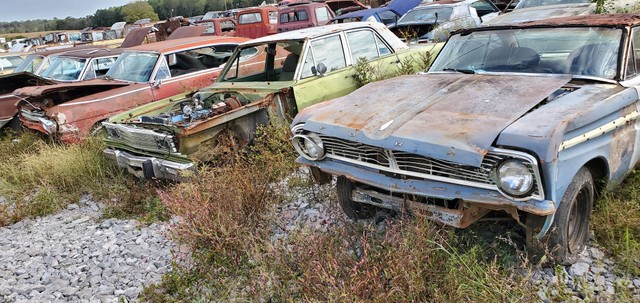 Ivy Bluff Auto Salvage