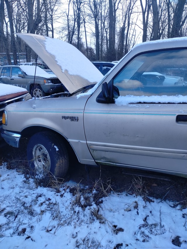 Ford's U Pull It