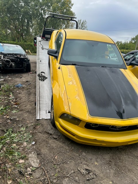 Moe’s Cash for Junk Cars