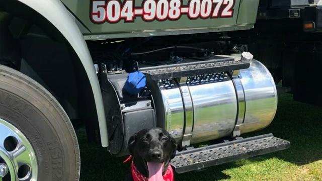 B's Towing Services & Mechanic Shop Near Me New Orleans