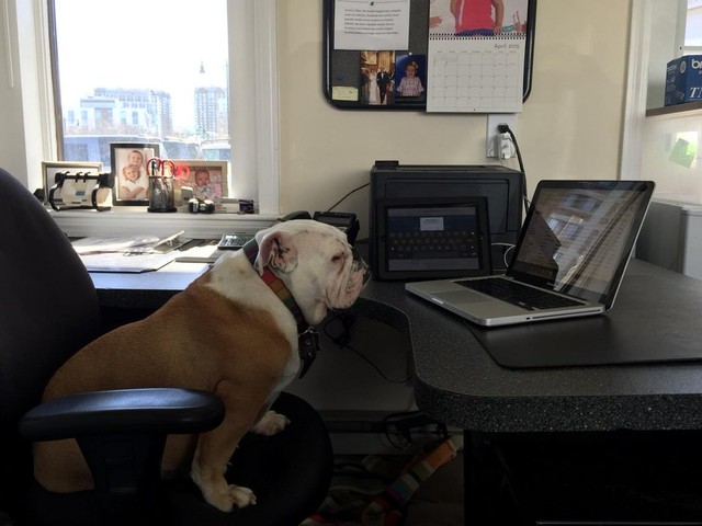 BostonCarBuyers