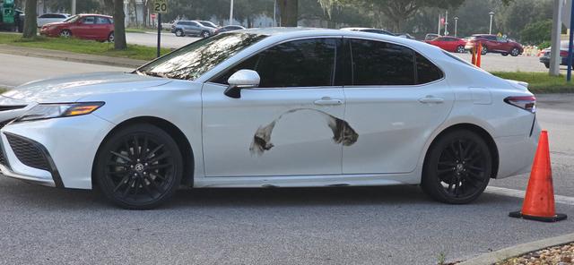 University Collision Center, Gainesville, Florida