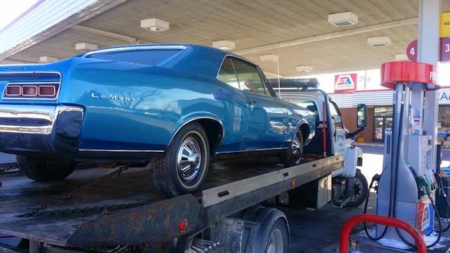 Roadrunner, Kearny, New Jersey