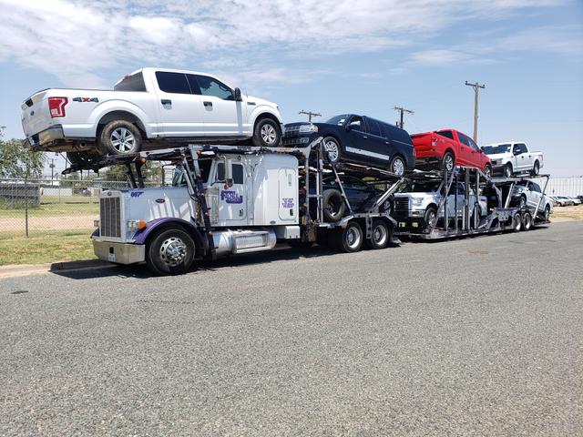 Lubbock Auto Auction, Lubbock, Texas