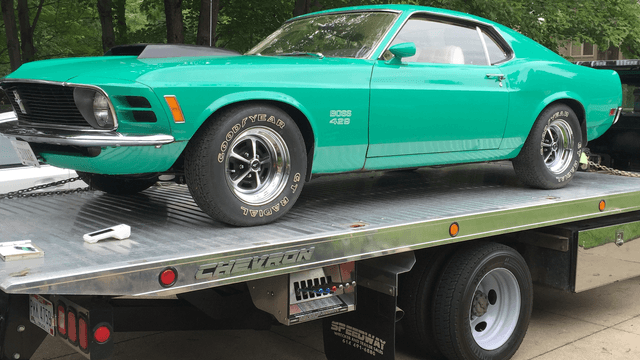 wolfs transportation specialists