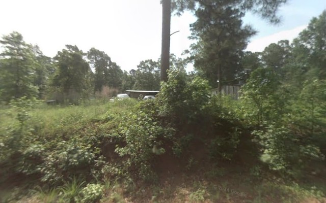 Reed's Used Auto Sales