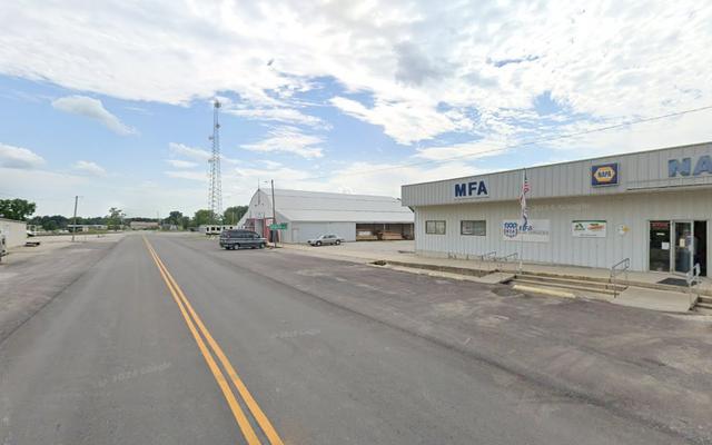 NAPA Auto Parts - Hale MFA
