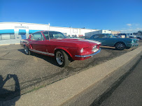 Mustang Paradise