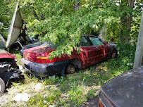 Dogtown Used Auto Parts