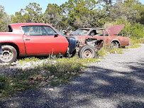 Snake Road Auto Salvage013