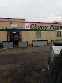 Cherry Picked Auto Parts019