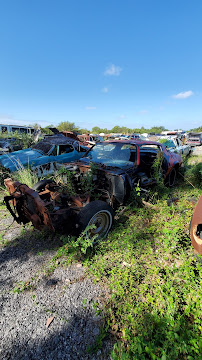 Snake Road Auto Salvage02