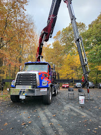 Woodchips Tree, Crane and Dumpsters02