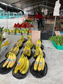 Big Pine Key Flea Market03