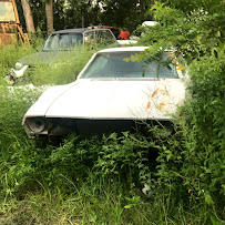 Raymond's Auto Salvage & Junk07