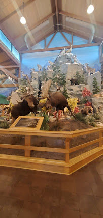 Cabela's08