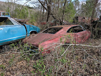 Gibbs Junk Yard09