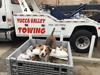 Yucca Valley Towing09