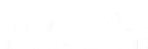 Rebuy Junk and Salvage Cars by Jim010